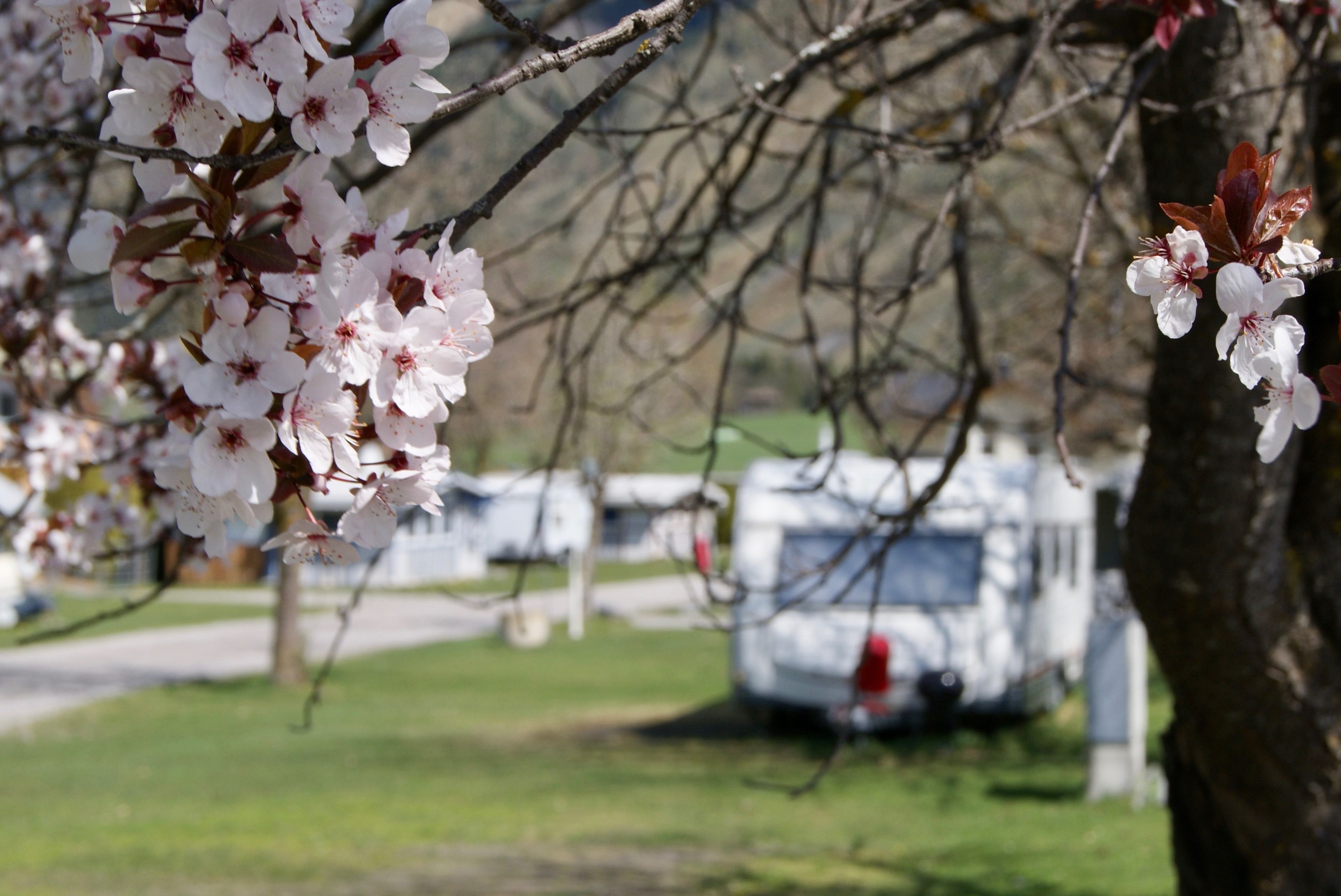 Kirschbaum Caravan